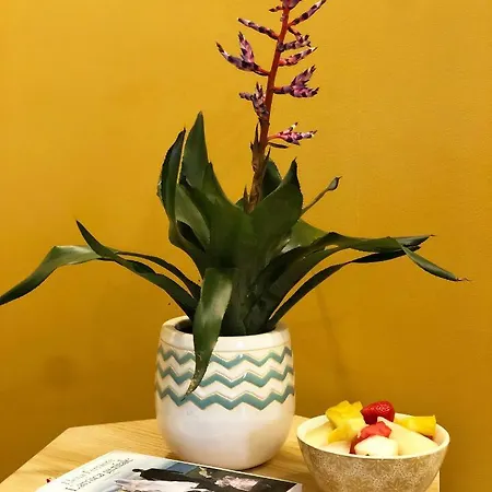 Di Casa Apartment Monopoli